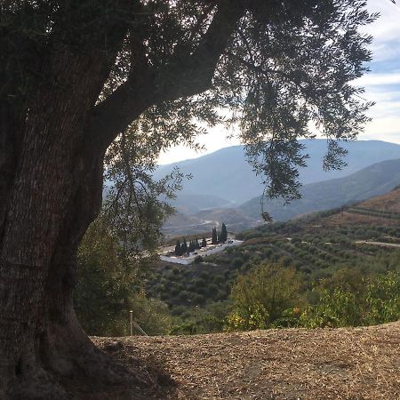Jardin Andaluz Appart Alhambra Pinos del Valle Luaran gambar