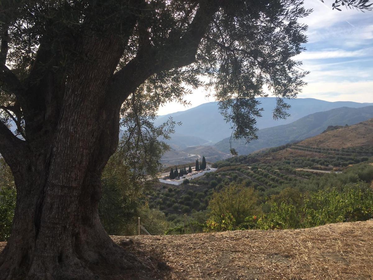 Jardin Andaluz Appart Alhambra Pinos del Valle Luaran gambar