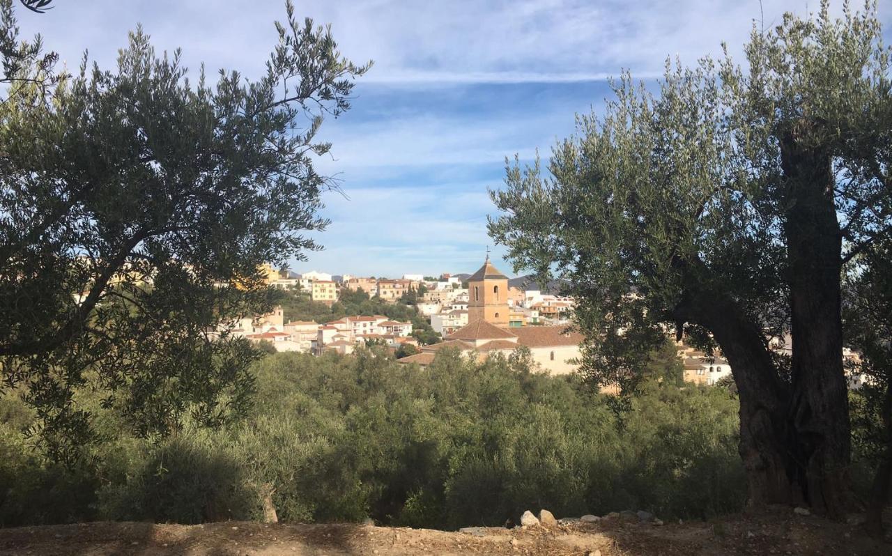 Jardin Andaluz Appart Alhambra Pinos del Valle Luaran gambar